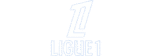 L1